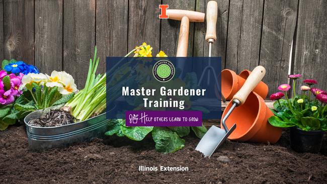 plants and garden supplies against a wooden fence